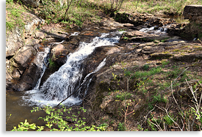 Cupid Falls in Young Harris