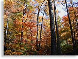 Dicks Creek Gap