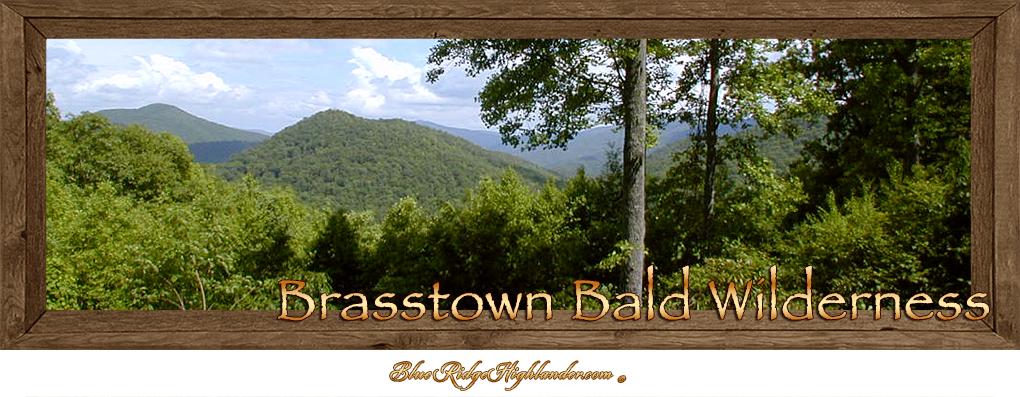 Brasstown Bald