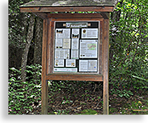 Neels Gap entrance Duncan Ridge Trail