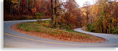 Vogel State Park to Suches