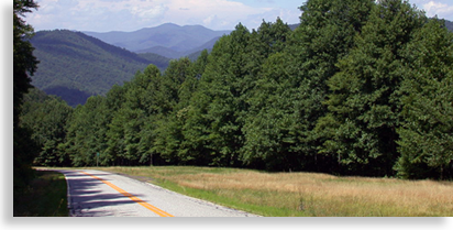 Road to Brasstown Bald