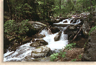 Anna Ruby Creek
