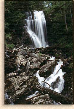 Anna Ruby Falls