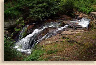 Thomastown Road Falls - Behind Young Harris College