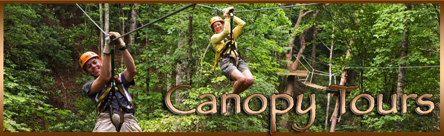 Zip Line Canopy Tours